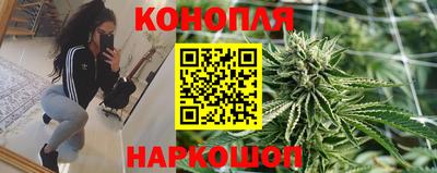 стаф Краснодар